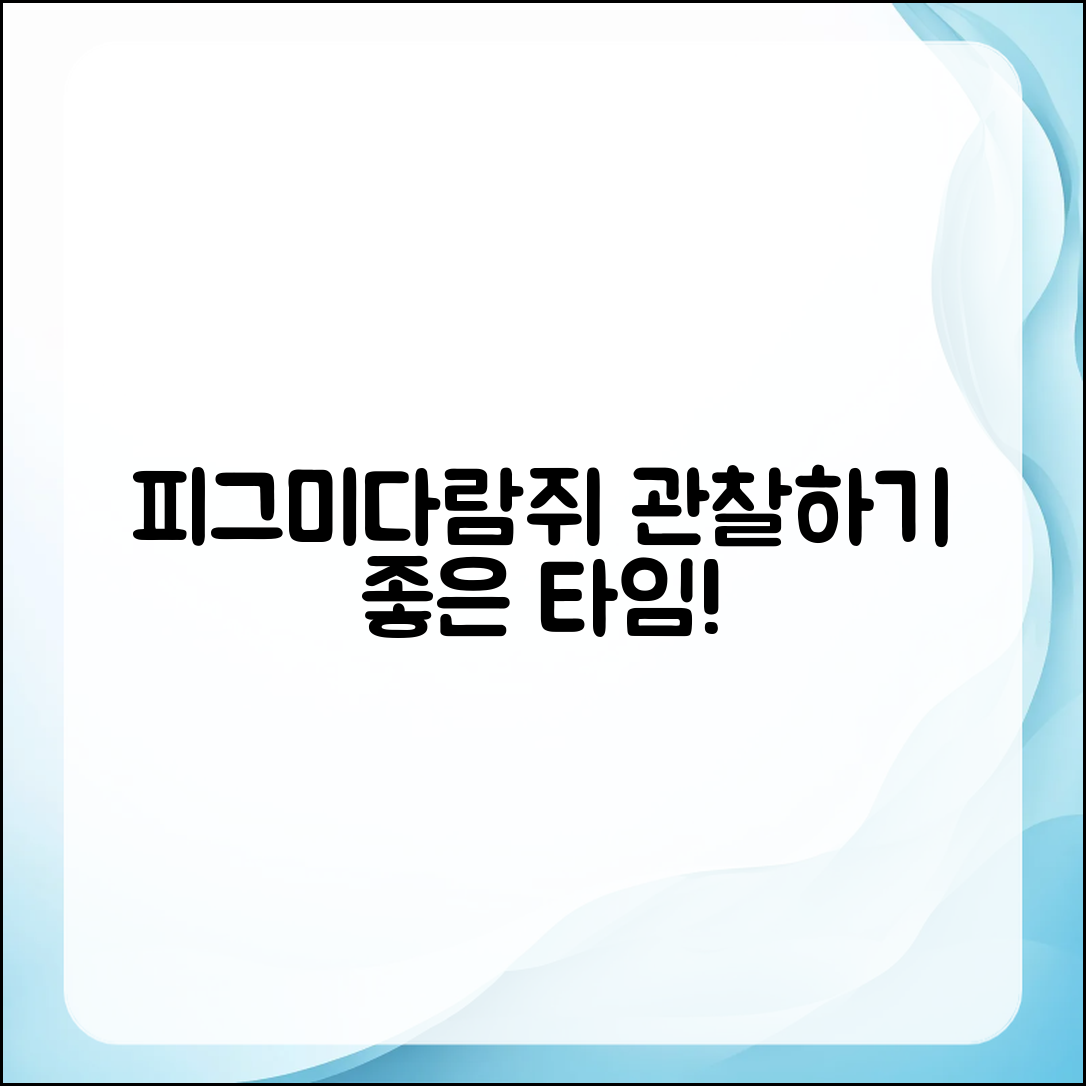 누구나 쉽게 피그미다람쥐 관찰하는 좋은 시간대
